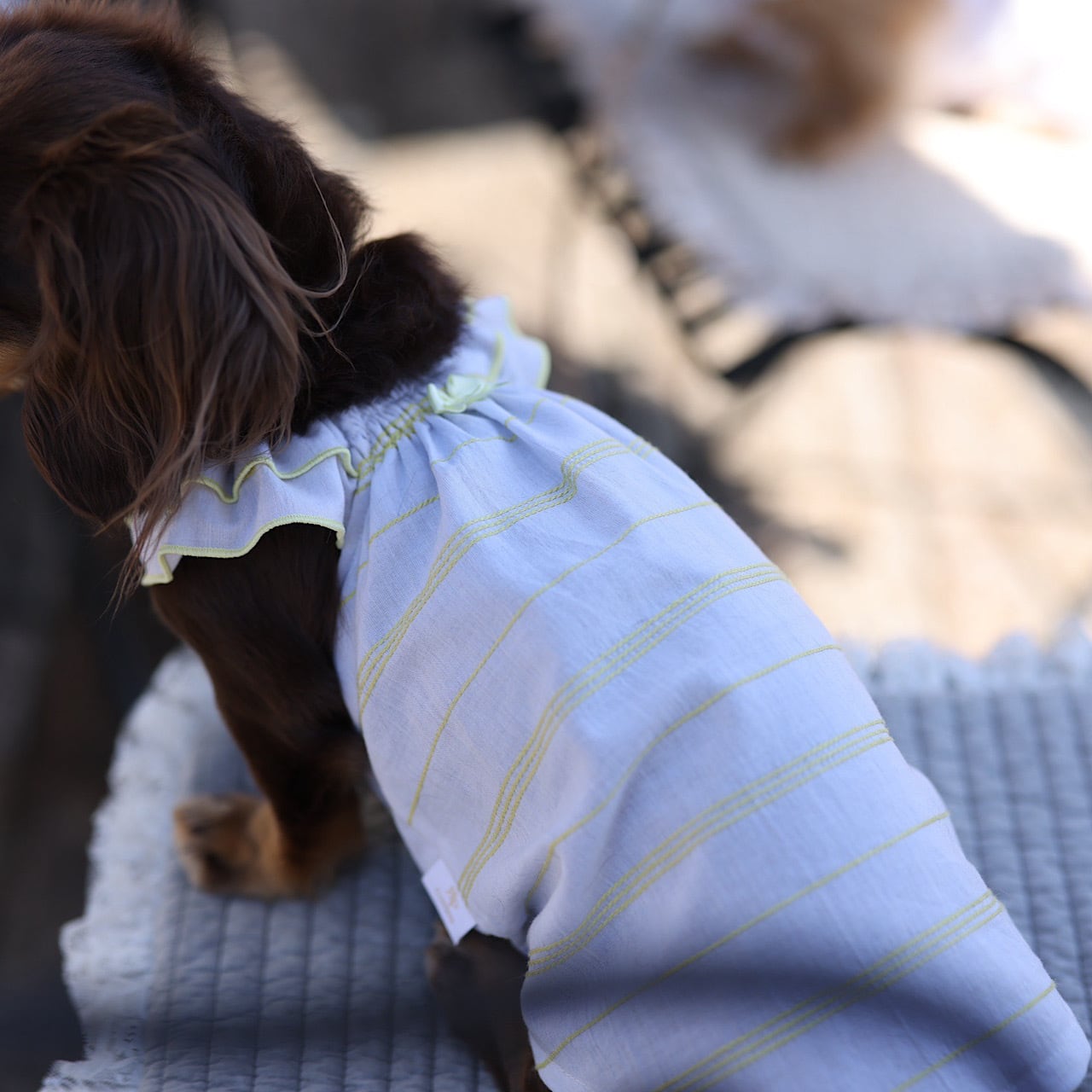 シャーリングスモックワンピ (ドビーボーダー・モノトーンチェック