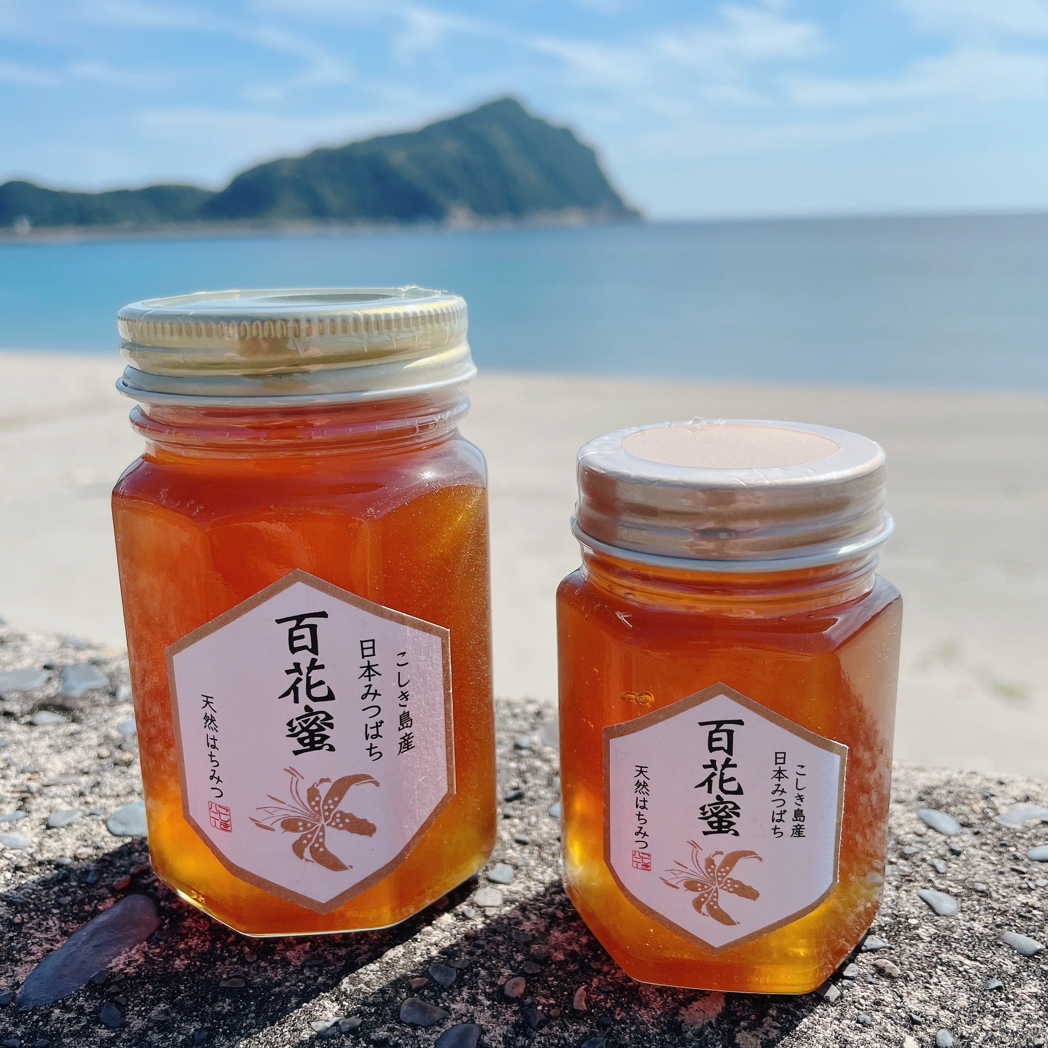 2025年新蜜！こしき島産 日本みつばち 百花蜜 100g | こしきハニー
