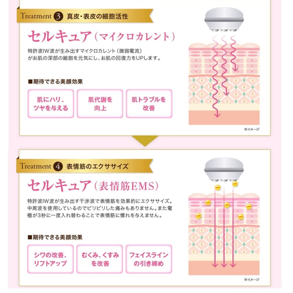 CELL CURE（セルキュア）4T++ / BELEGA beauty&cosmetics（ベレガ