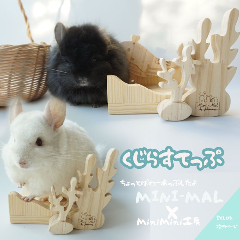 海を感じるくじらステップ♡