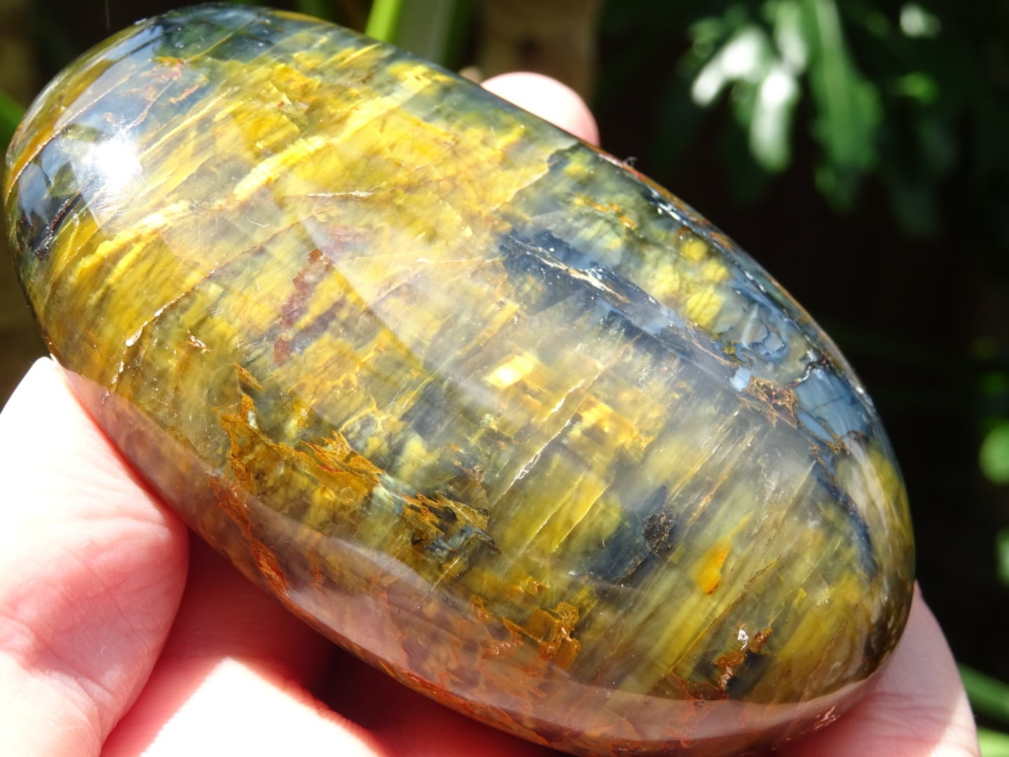 嵐の女神」 ゴールデンピーターサイト(テンペストストーン