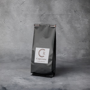 グアテマラSHBカフェピューマ 100g