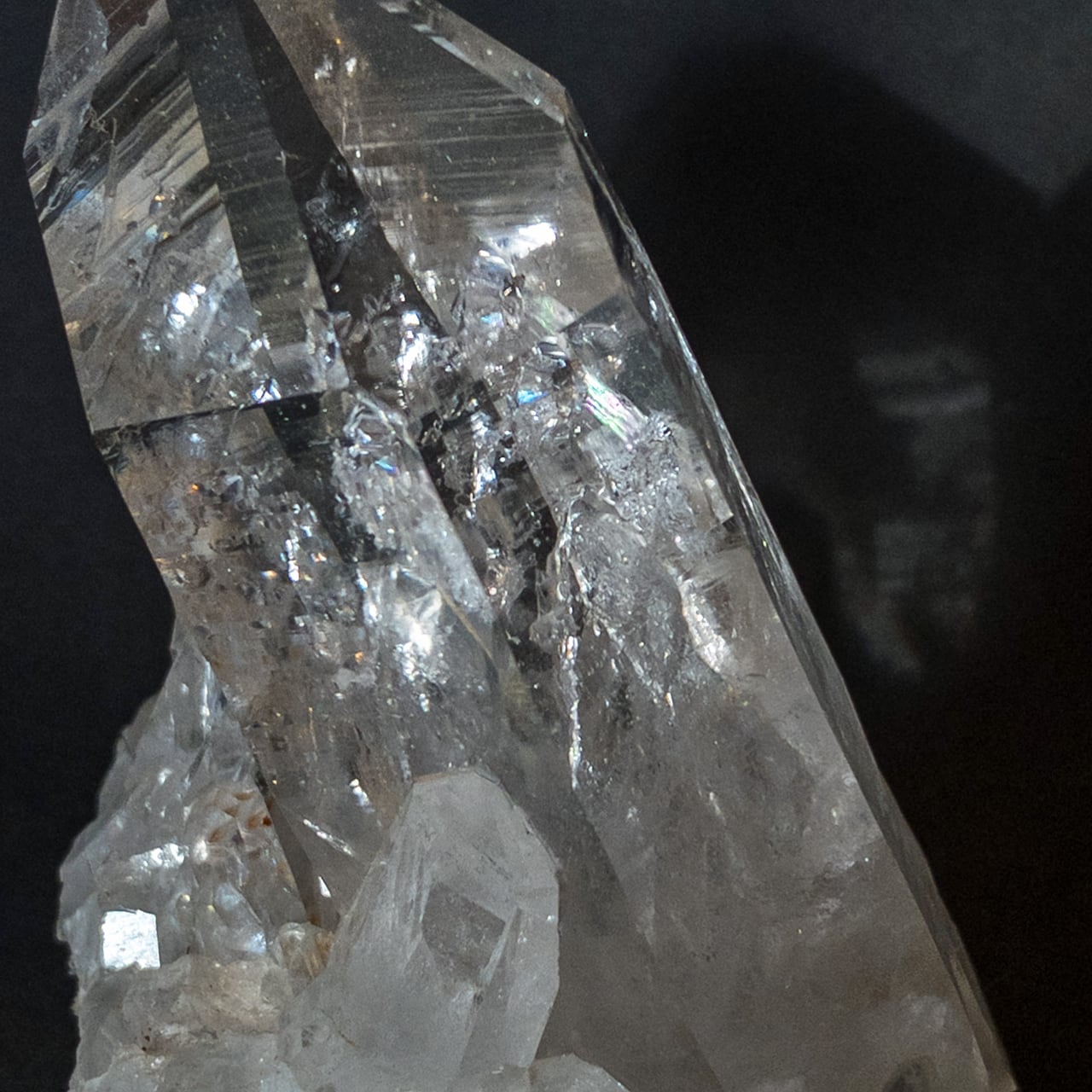 イシスクラスター | Tigress Yogi