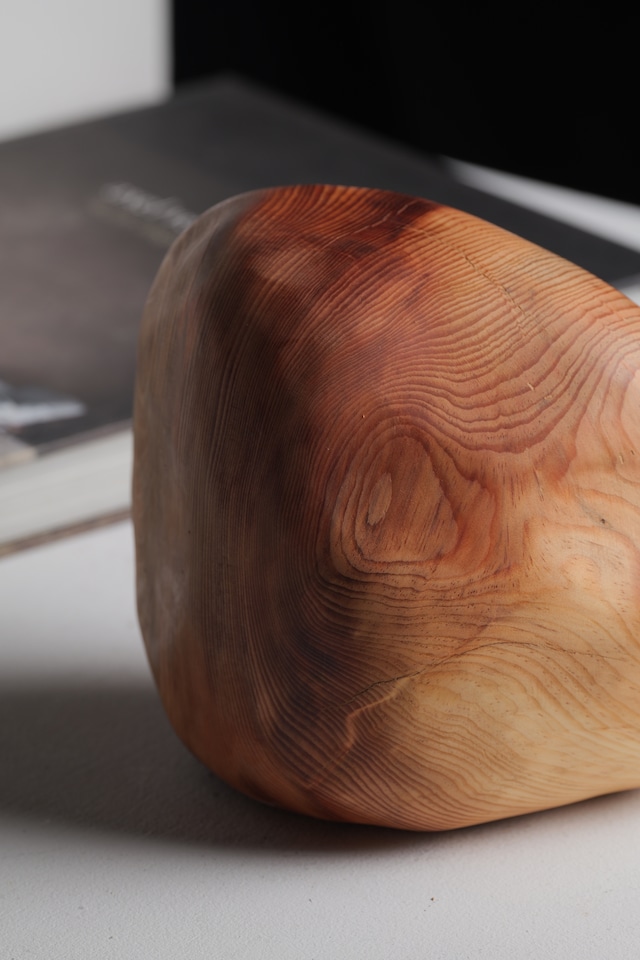木の石 “wood stone” M ①