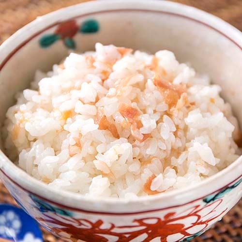 ガーベラ南高梅15キロ 直前!!】【さぎやま】ガーベラ バラエティMix(ジェルミニふつうサイズ