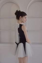 Back ribbon tulle dress