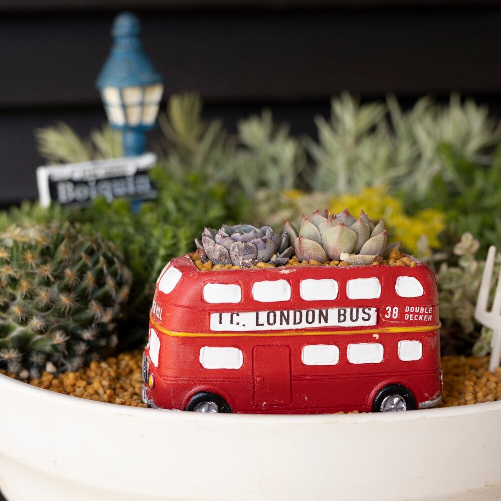 母の日プレゼント♪ セダム 寄せ植え 箱庭 多肉植物 サボテン