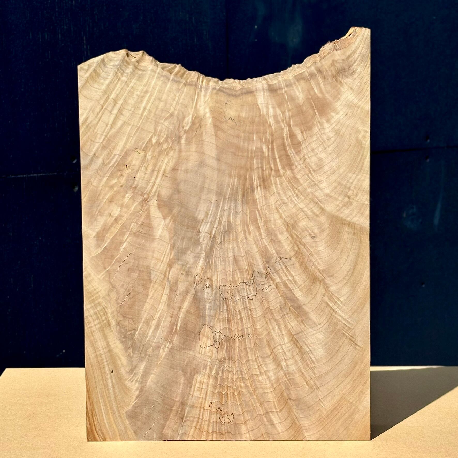 迫力満点！栃（とち）の瘤【瘤材】 | automnforest workshop