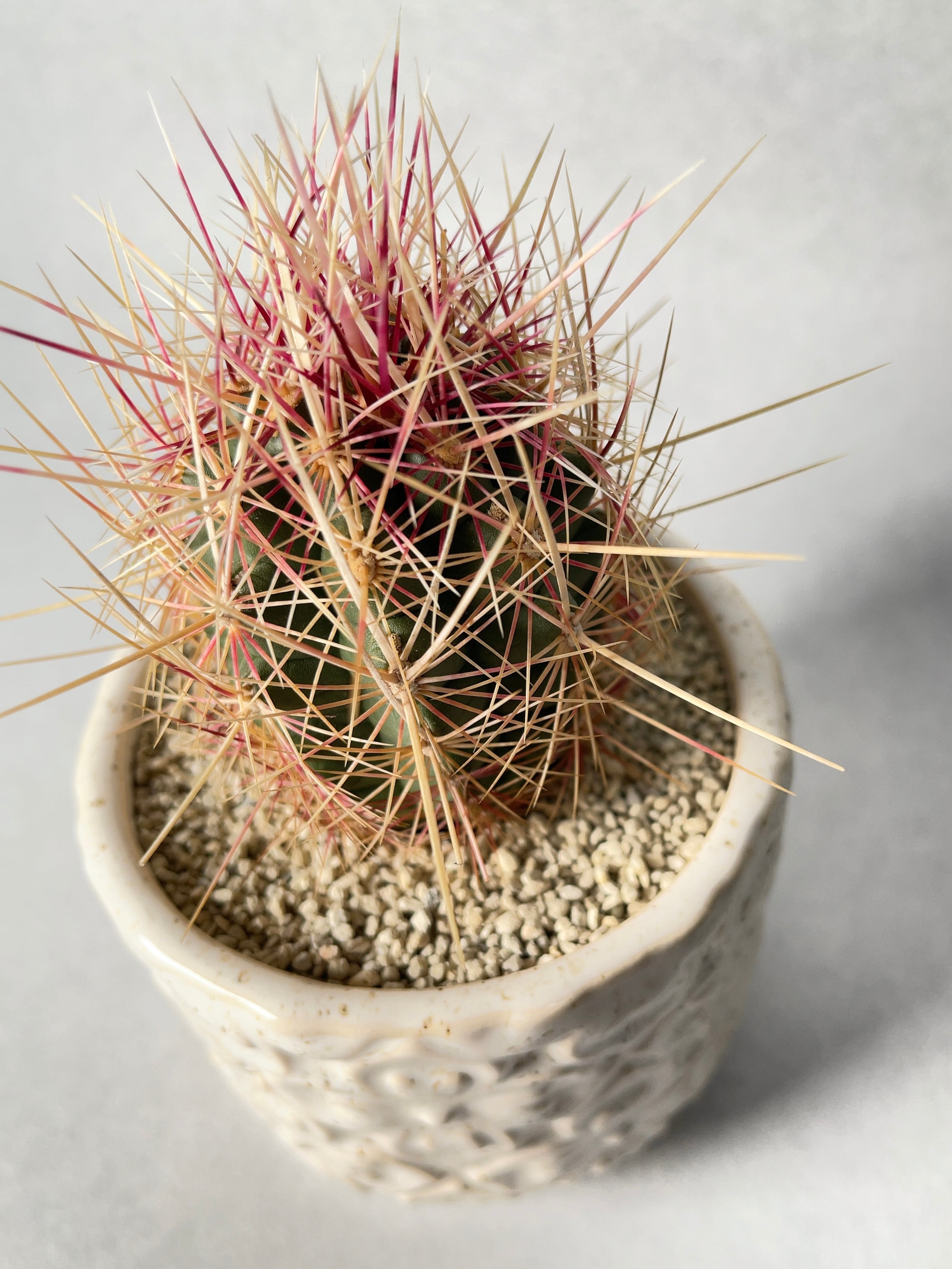 cca746116d3608269da57ed978b301