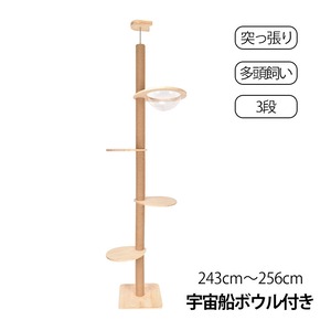 突っ張り型キャットタワー