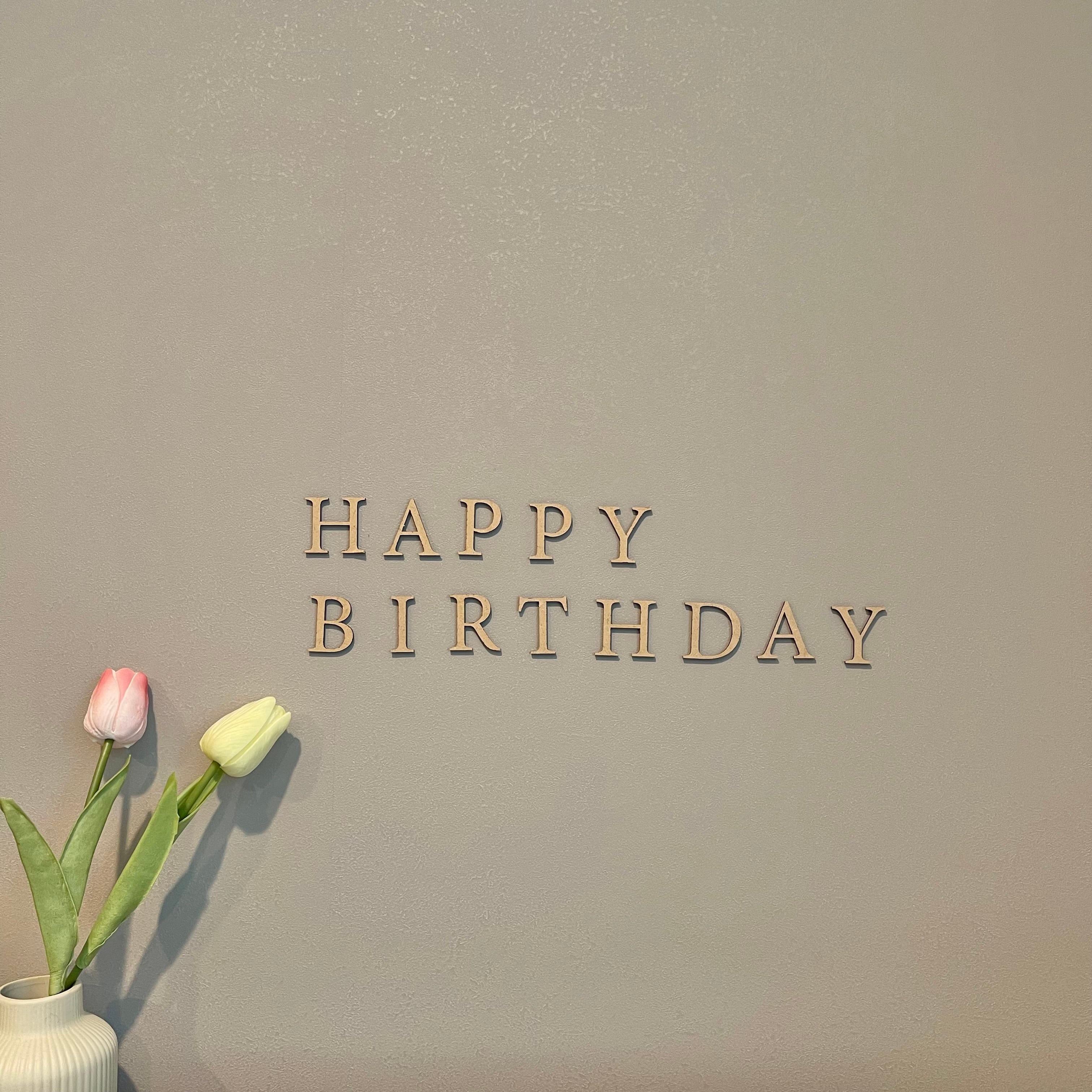 HAPPY BIRTHDAY letter banner | playground
