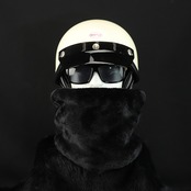 ROBIN NECK WARMER ウールジャカードBK&ブラックファー