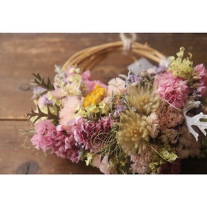 WR#248 ハーフリース