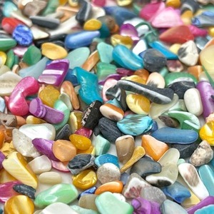 【10g】天然シェル（ミックスカラー）2~15mmx2~10mm/穴なし/貝/染色さざれ/レジン