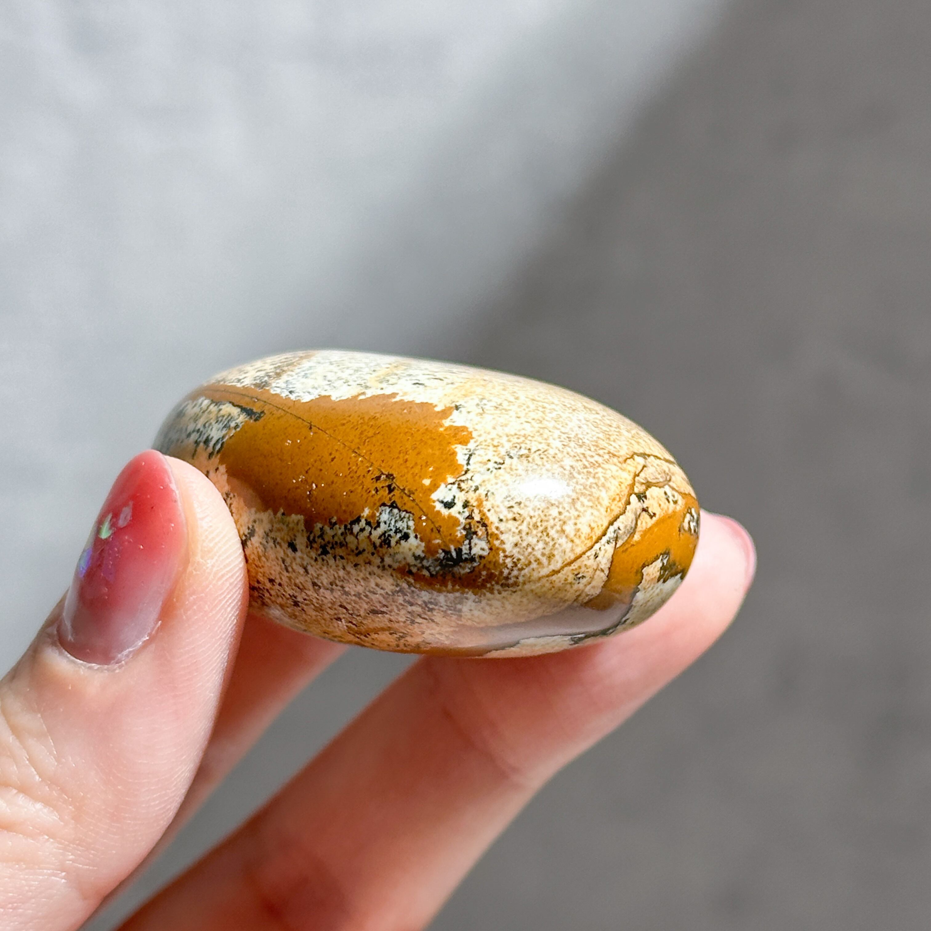 ピクチャージャスパー パームストーン21◇ Picture Jasper ◇ 天然石