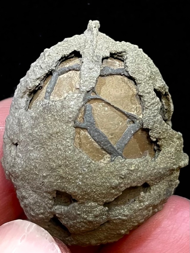 11) 「幸せ」を捕縛する＊ハピネス・キャプチャー「ジャラストラ(絹の網)」小型