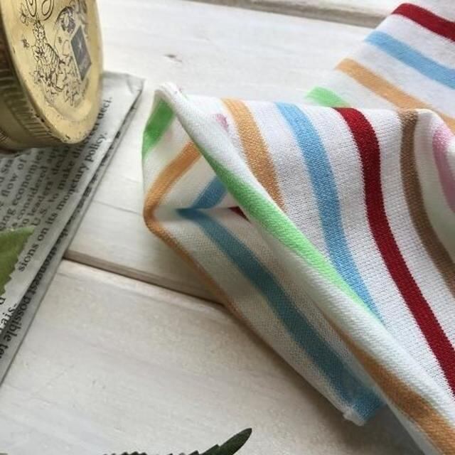カラフル天竺ボーダー