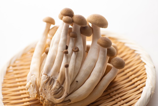 ＜８人前＞極 上｜大和牛サーロインと奈良がつまった特上すき焼きセット／たっぷりサーロイン600g 2個セット まとめ買い