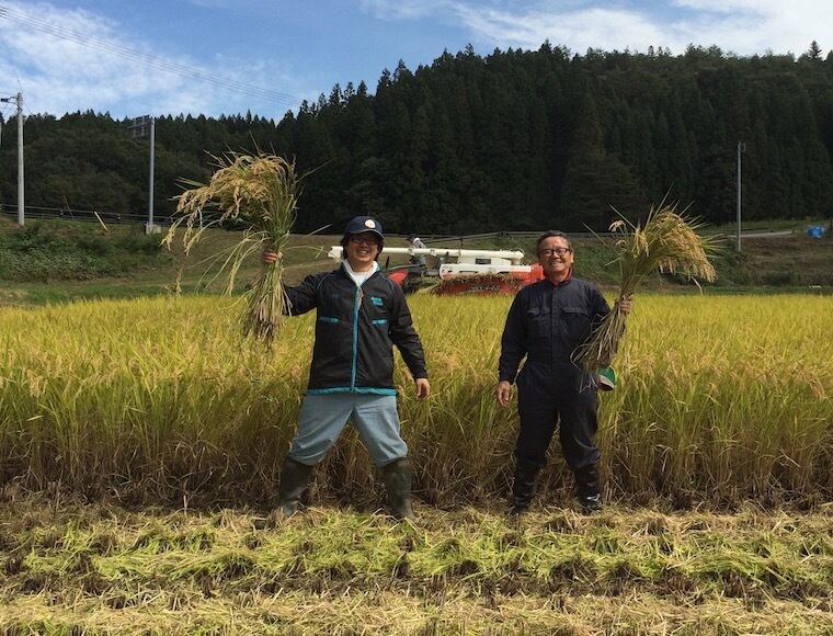つぶつぶ美味しい！石川県_能登半島志賀町産《5kg》コシヒカリアモーレ