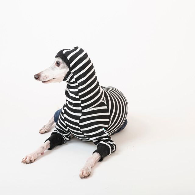 ボーダーファッションロンパース　black / イタグレ服