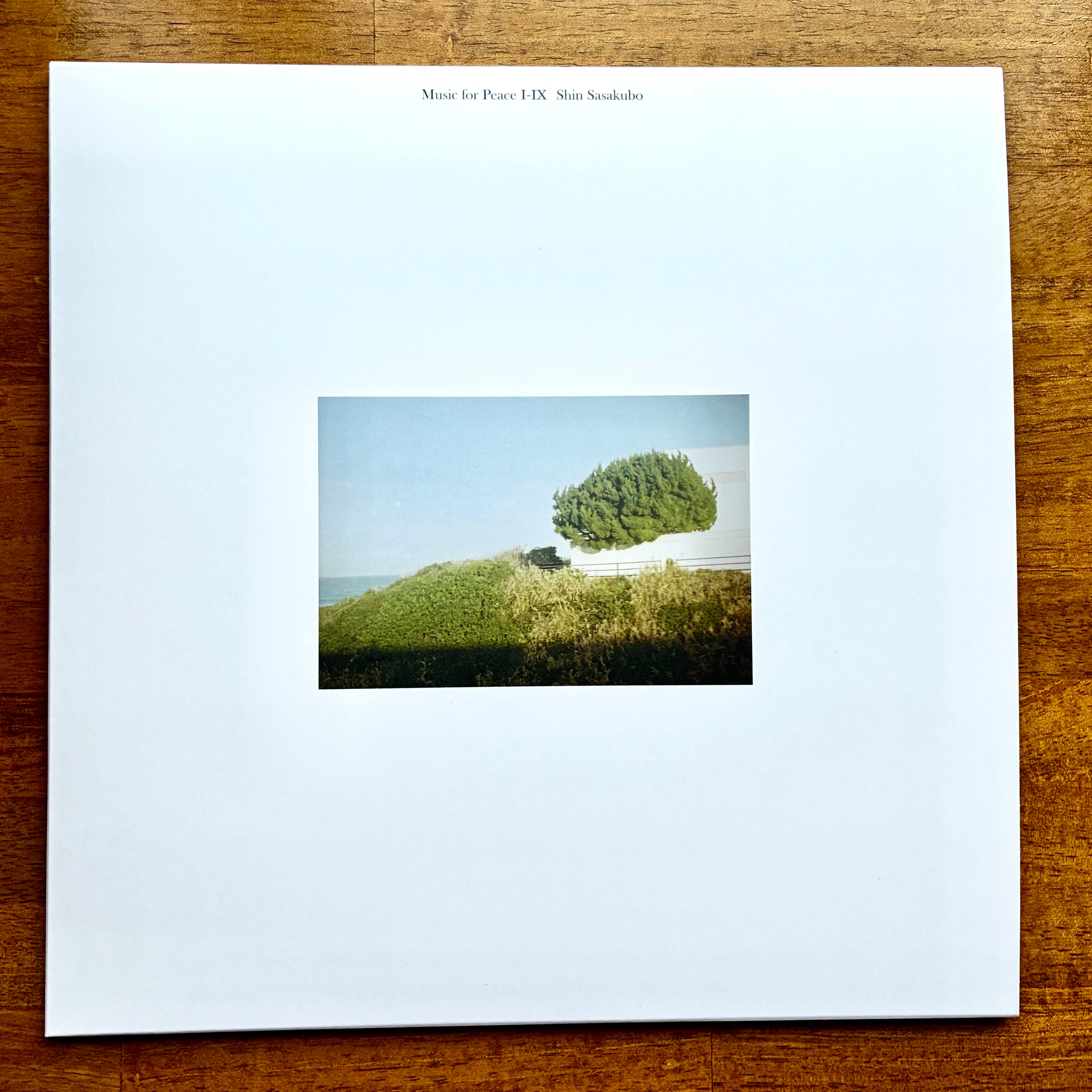 Music for Peace Ⅰ-Ⅸ Shin Sasaskubo [LP recoed] | 燕游舎