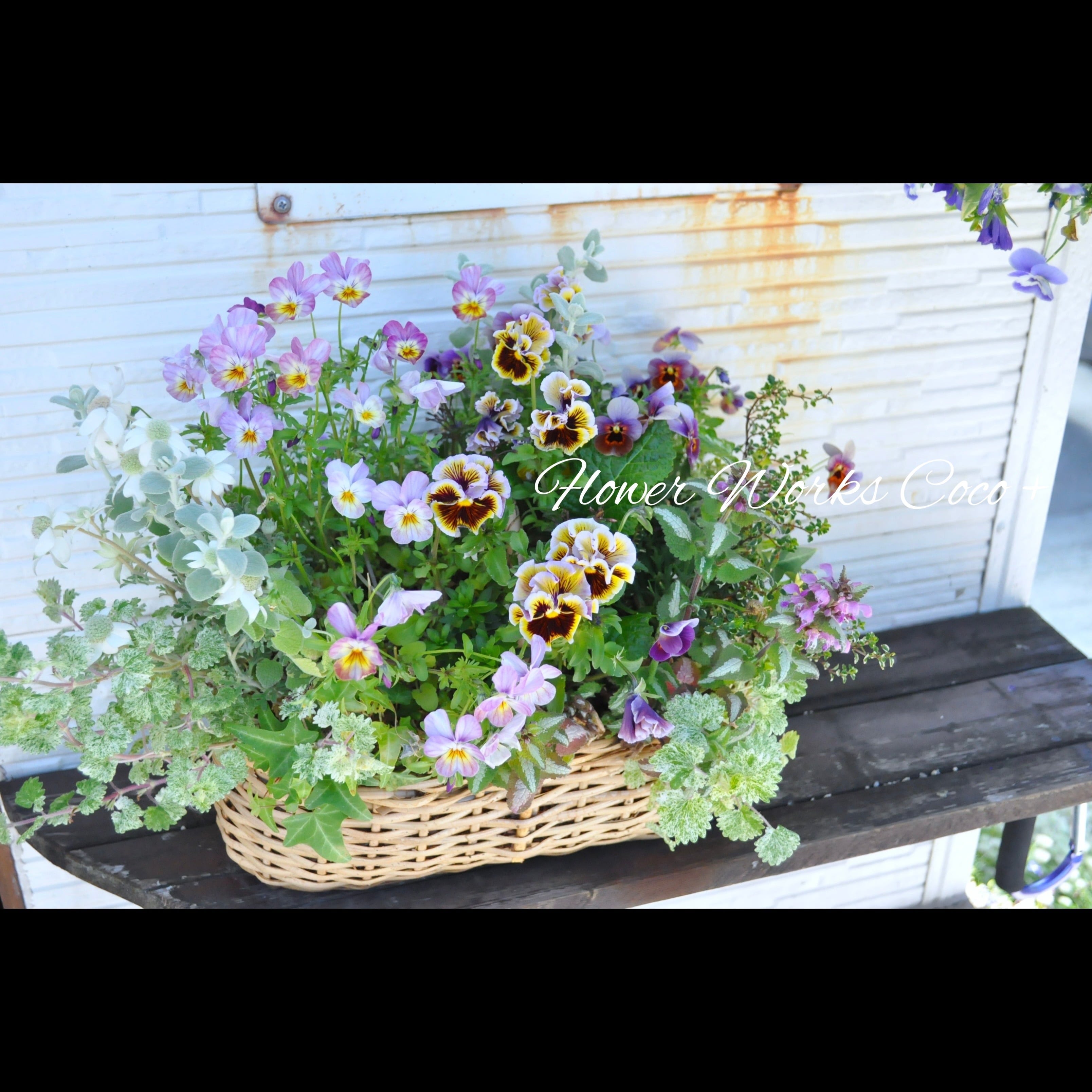 季節の寄せ植え おまかせブリコラージュフラワー（カゴ） | Flower