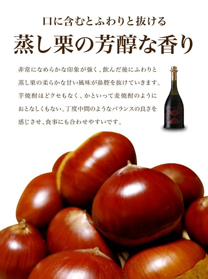 焼酎 希少 小鼓 古丹波 こたんば 720ml 栗焼酎 25度 3本 セット】 西山