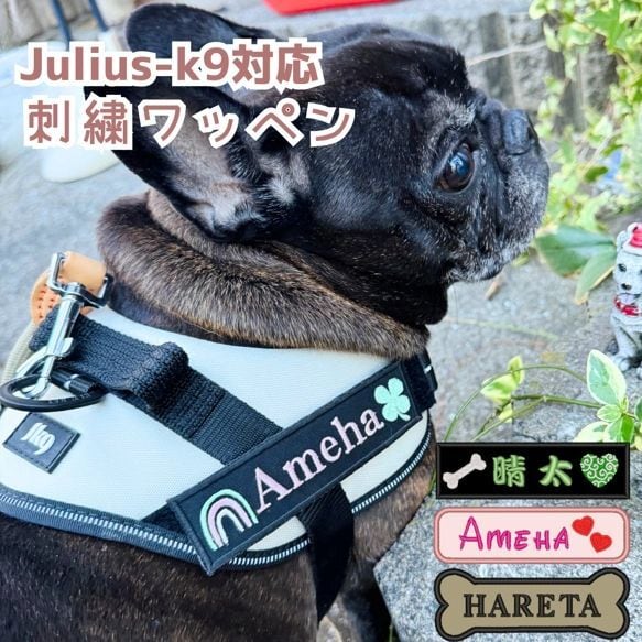 S.Mサイズ】愛犬 ネームワッペン 刺繍 julius-k9 ユリウスk9 対応