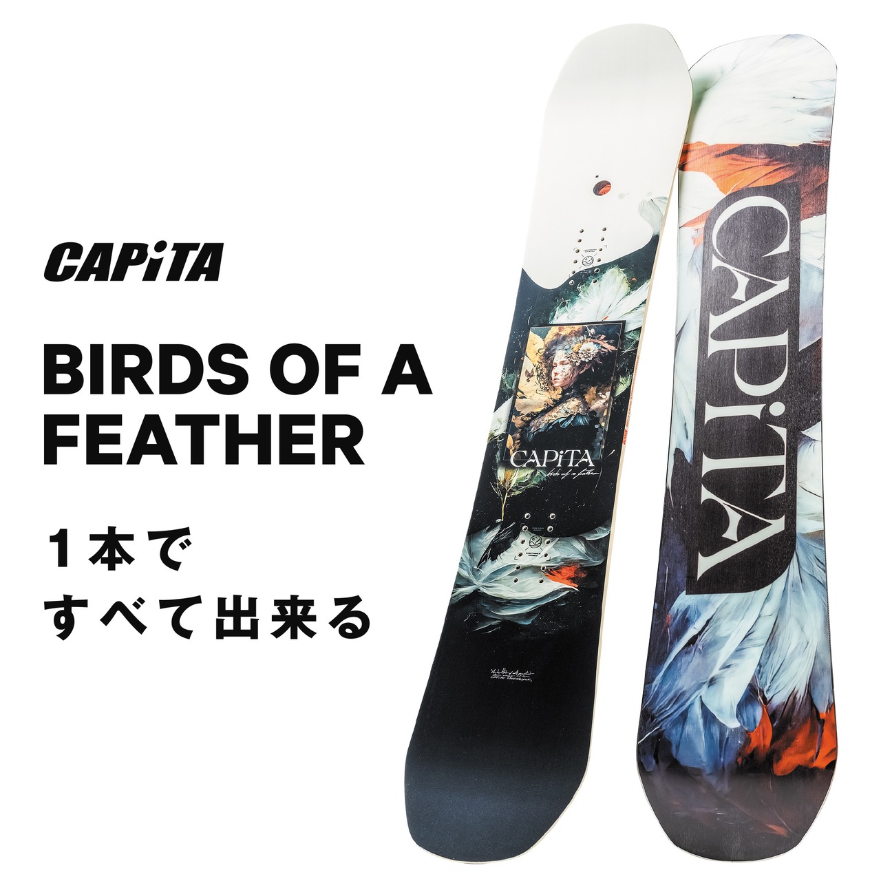 Capita Snowboarding 2024-2025 『 Birds of a Feather 』 キャピタ  