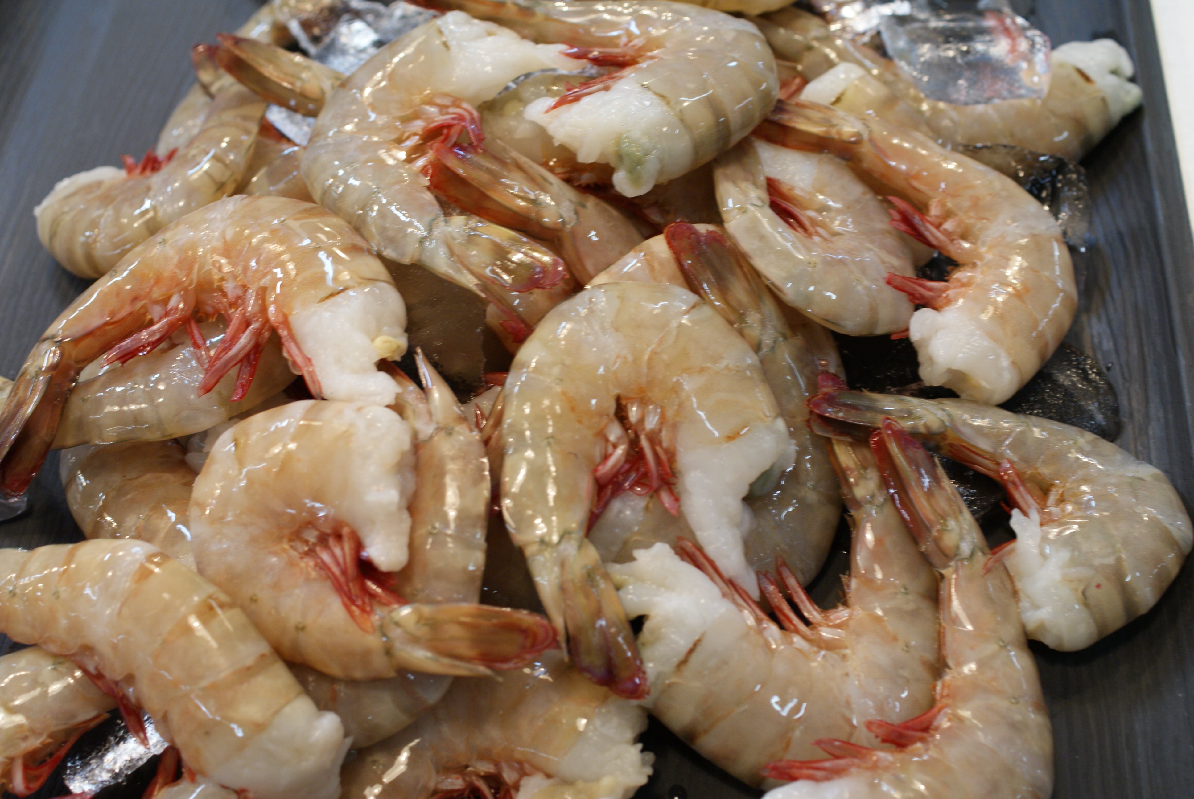 えびページ 希少【静岡県磐田市産】頭から丸ごと食べられる!国産 冷凍「幸えび/串