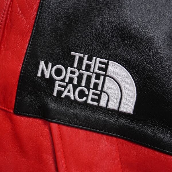 Size【M】 SUPREME シュプリーム ×THE NORTH FACE 18AW Leather