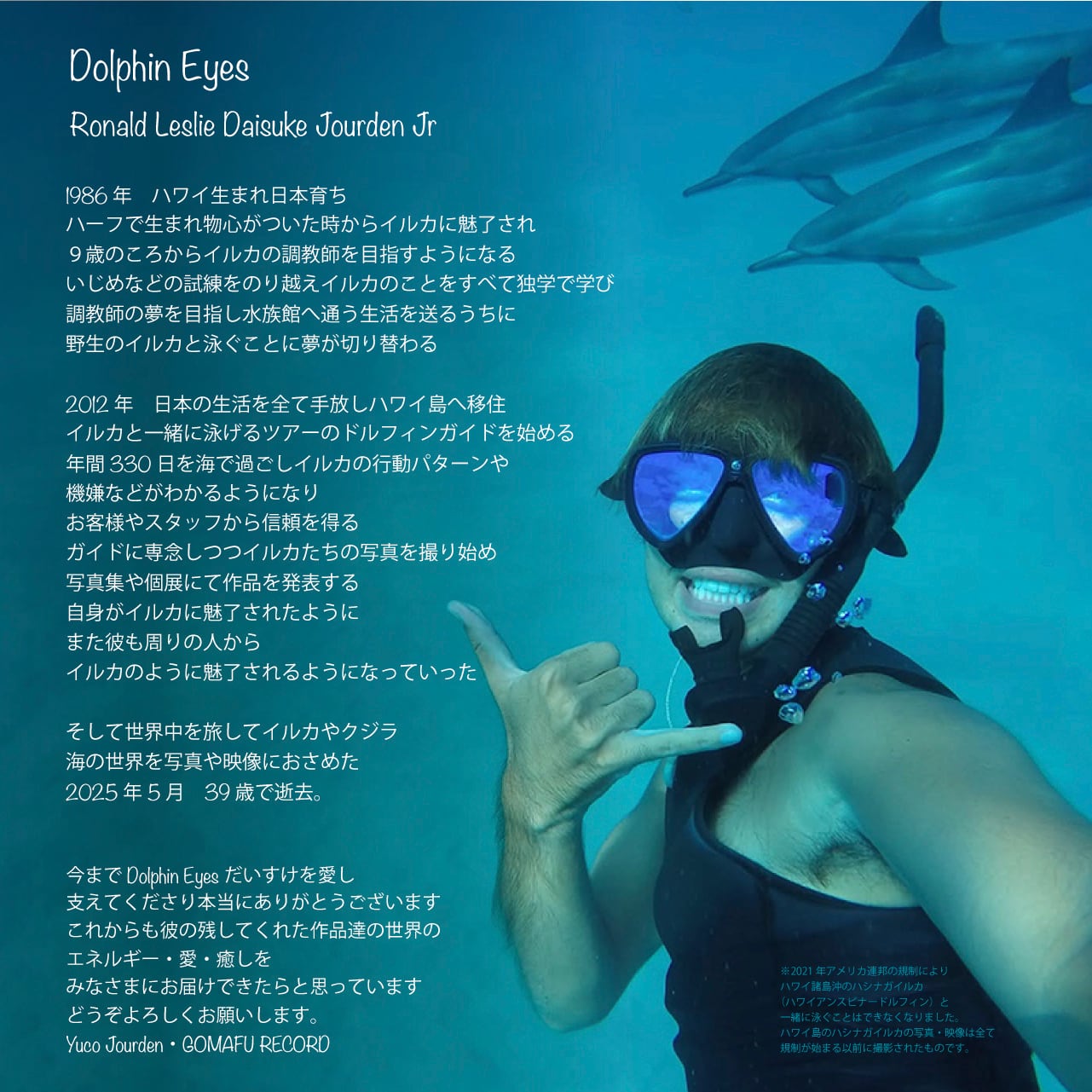 DOLPHIN EYES カレンダー 2026.04–2027.03（4月始まり・数量限定