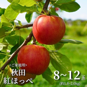 【希少品種！小さな果実に詰まったジューシーな甘さ】佐々木さんちの「秋田紅ほっぺ」[8～12玉]秋田県横手市平鹿町産
