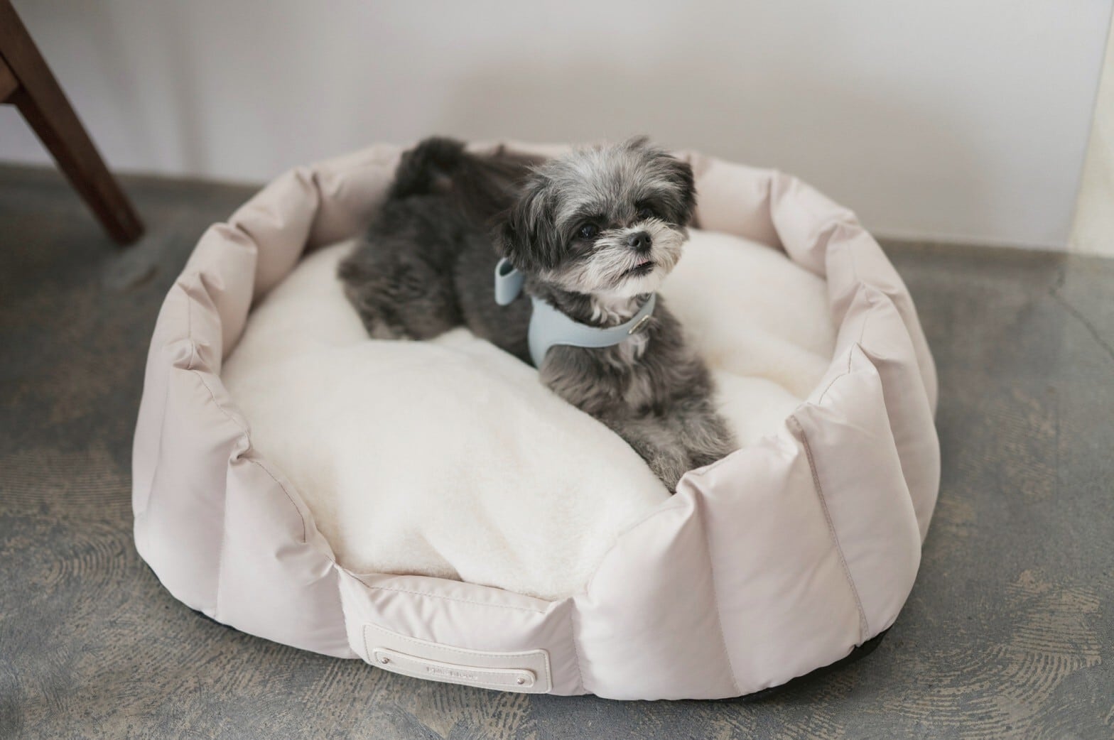 Milla Noue ミラヌー