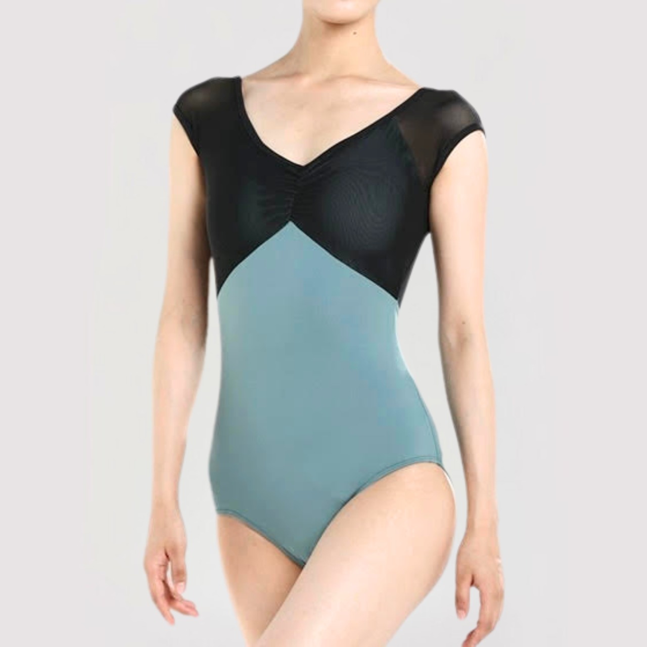 キャップスリーブ パピヨンレオタード 5色展開 L1029