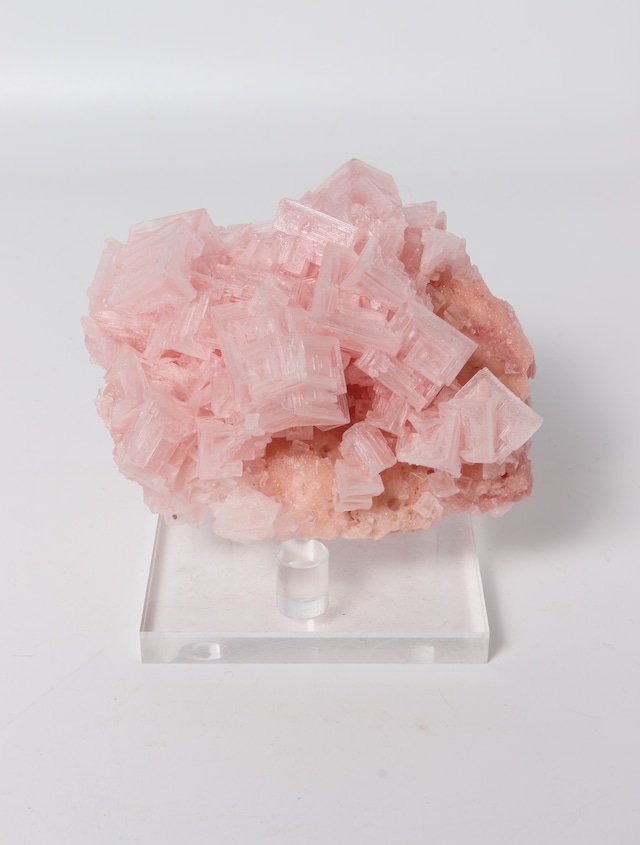 PINK HALITE 04 | U.S.A