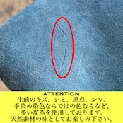 メディスンバック Sサイズ スウェード