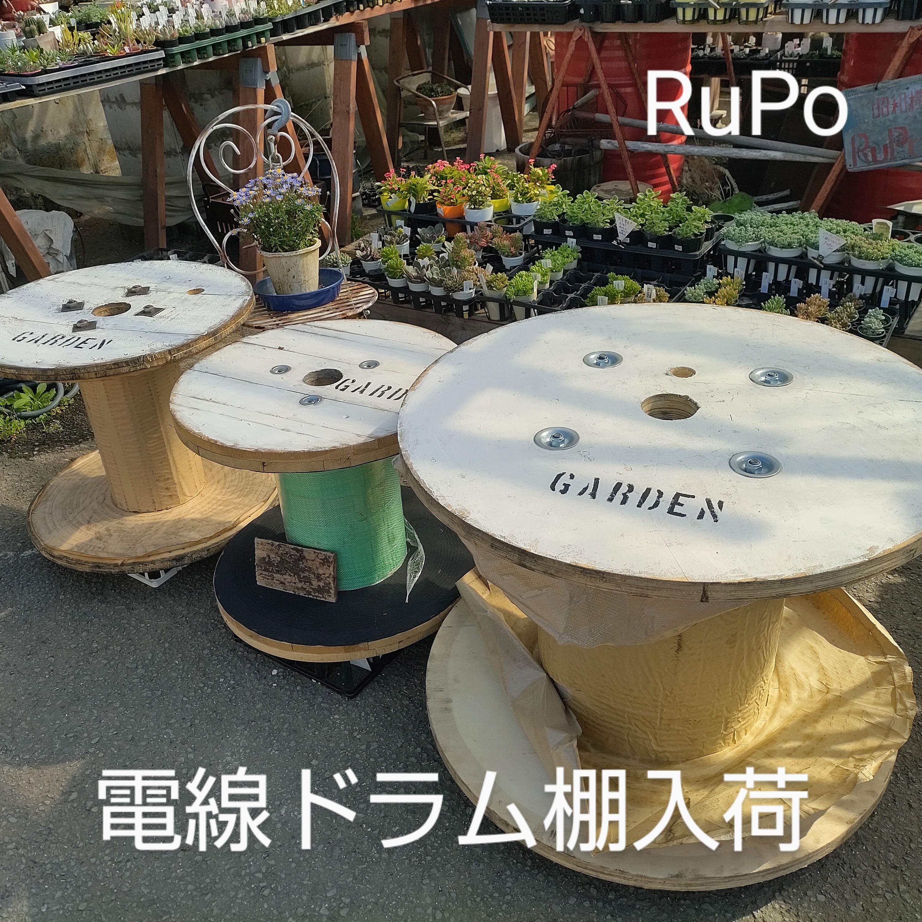 電線ドラム棚A RuPo 多肉植物専門店