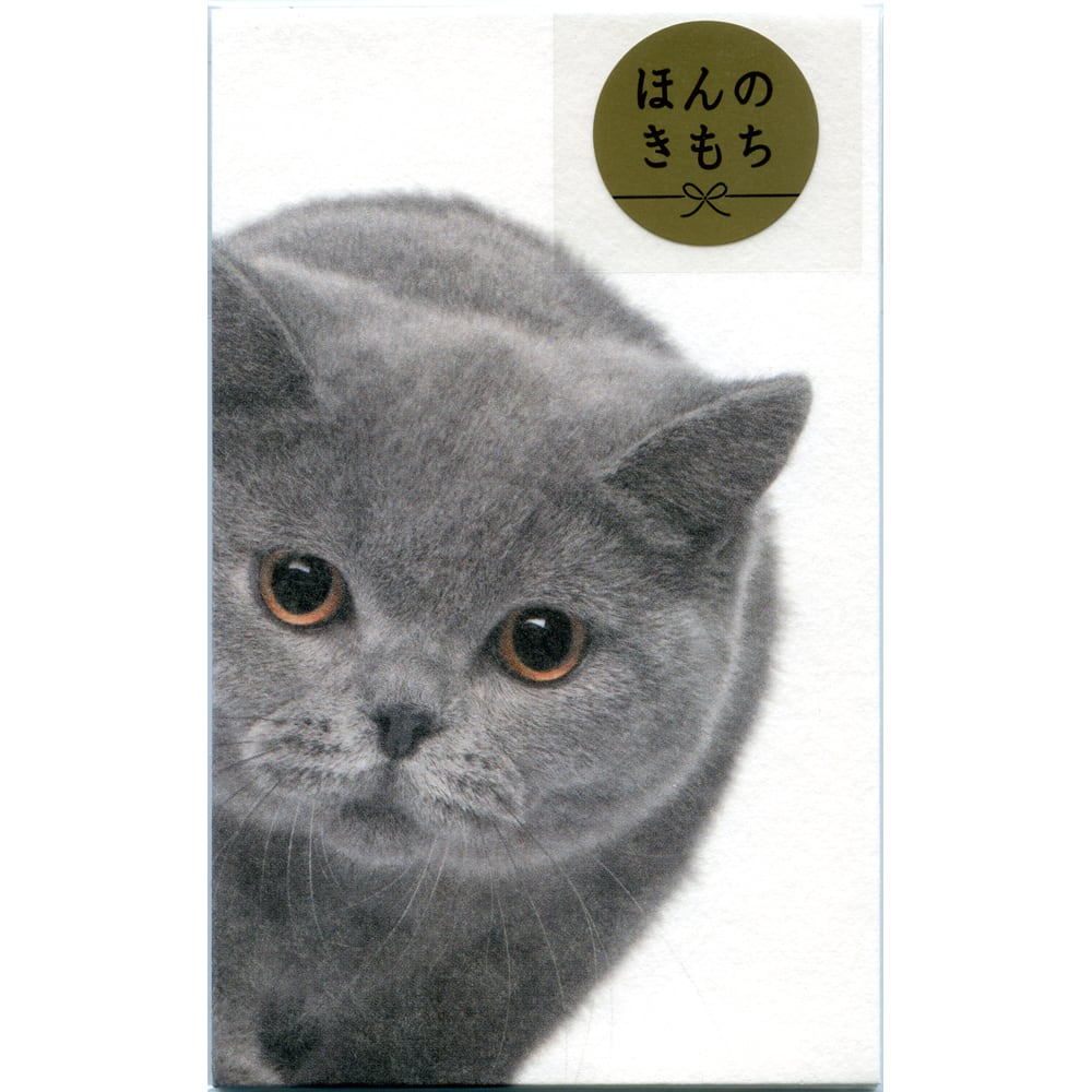 ccdcfd4e6c9cac5ea83c13536a6e5d