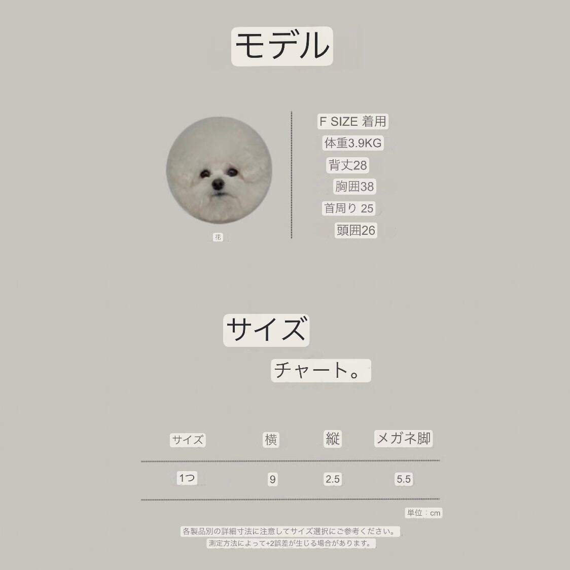 【seenii】chic Glasses (3 colors)