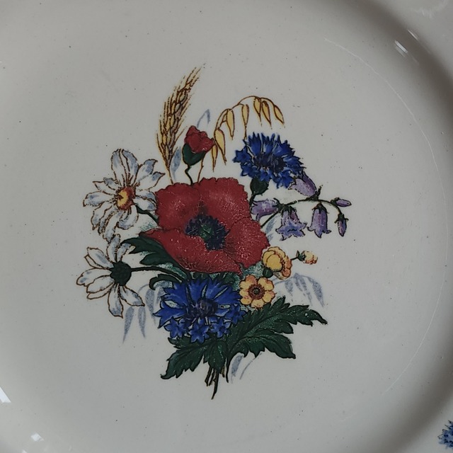 Sarreguemines サルグミンヌ デザートプレート /  Agreste #2