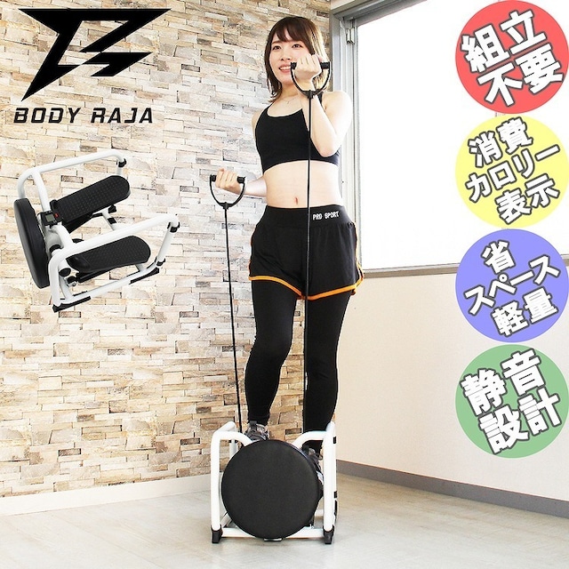 BODY RAJA マルチフィットネスステッパー