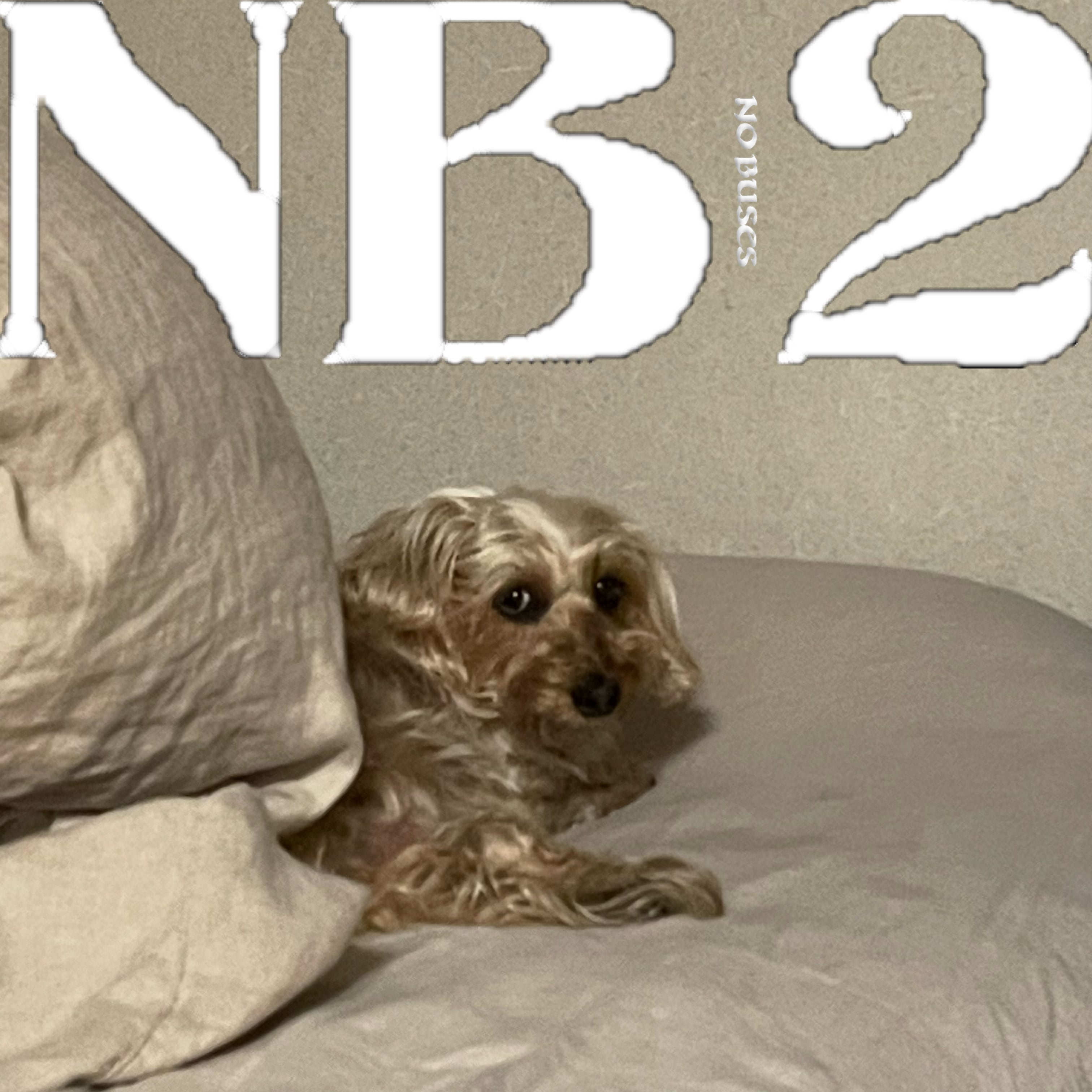 No Buses | HOLIDAY! RECORDS DISTRO