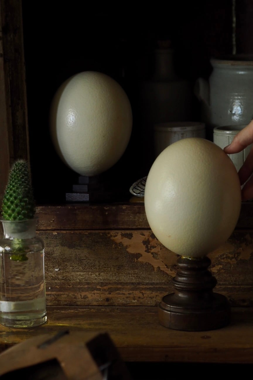 ダチョウの卵オブジェ-vintage ostrich egg | アンティーク