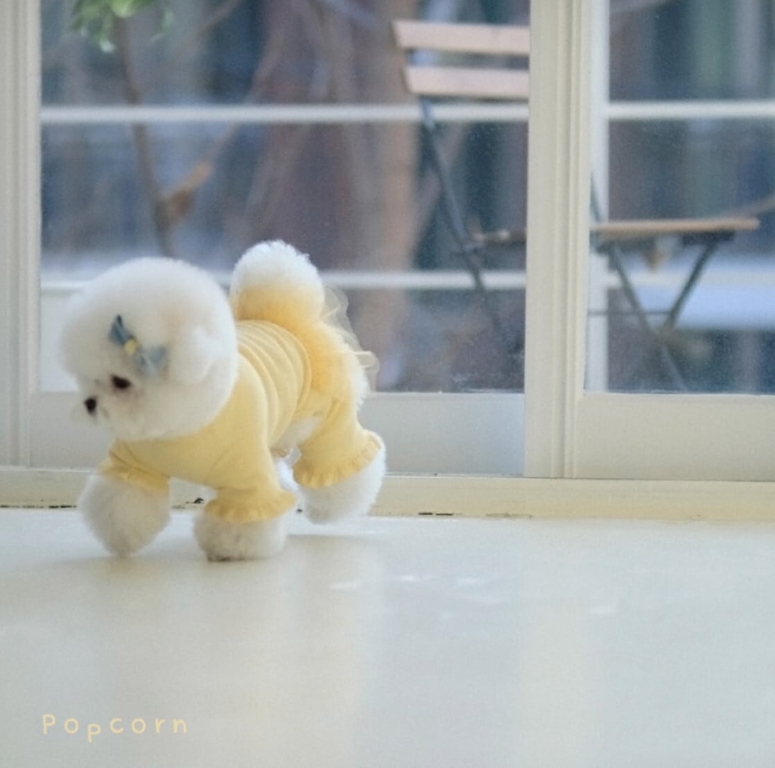 L.XL/即納【bebebreath】Popcorn Yellow Allinone