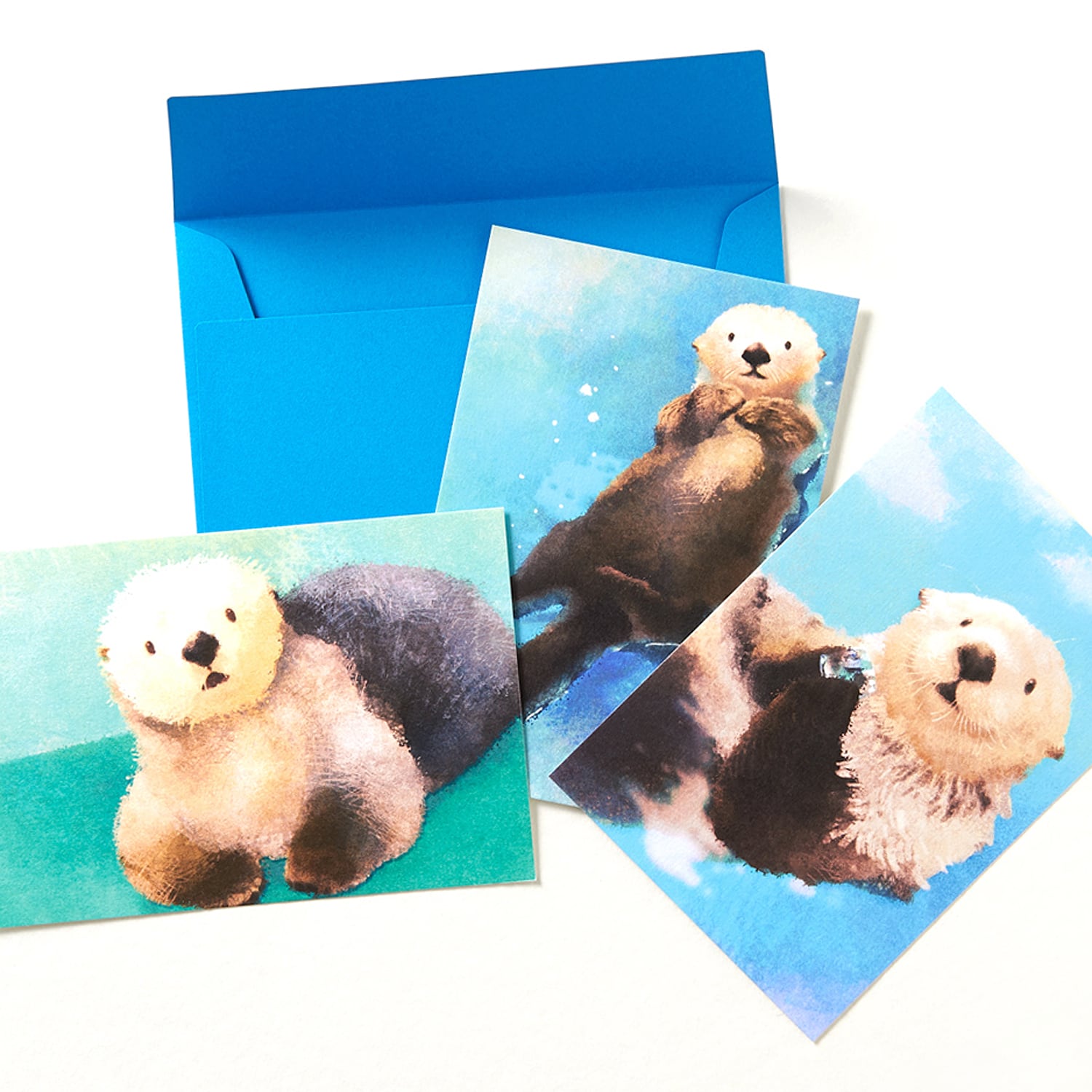 ポストカード3枚セット ラッコ 封筒付き Naonote ポストカード3枚セット ラッコ 封筒付き Naonote