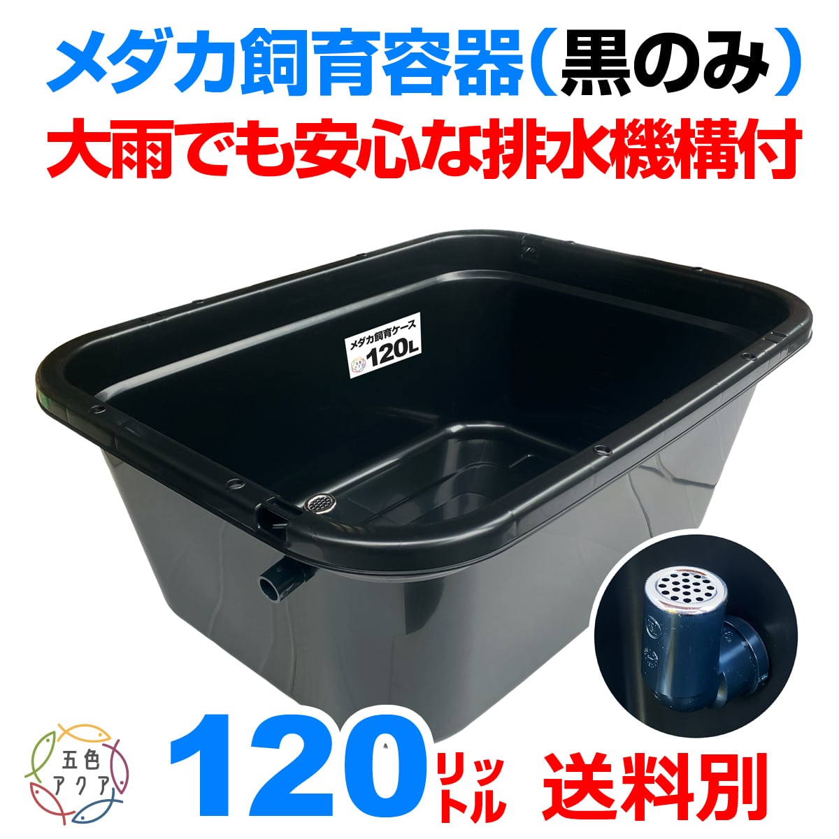 五色アクア BASE店