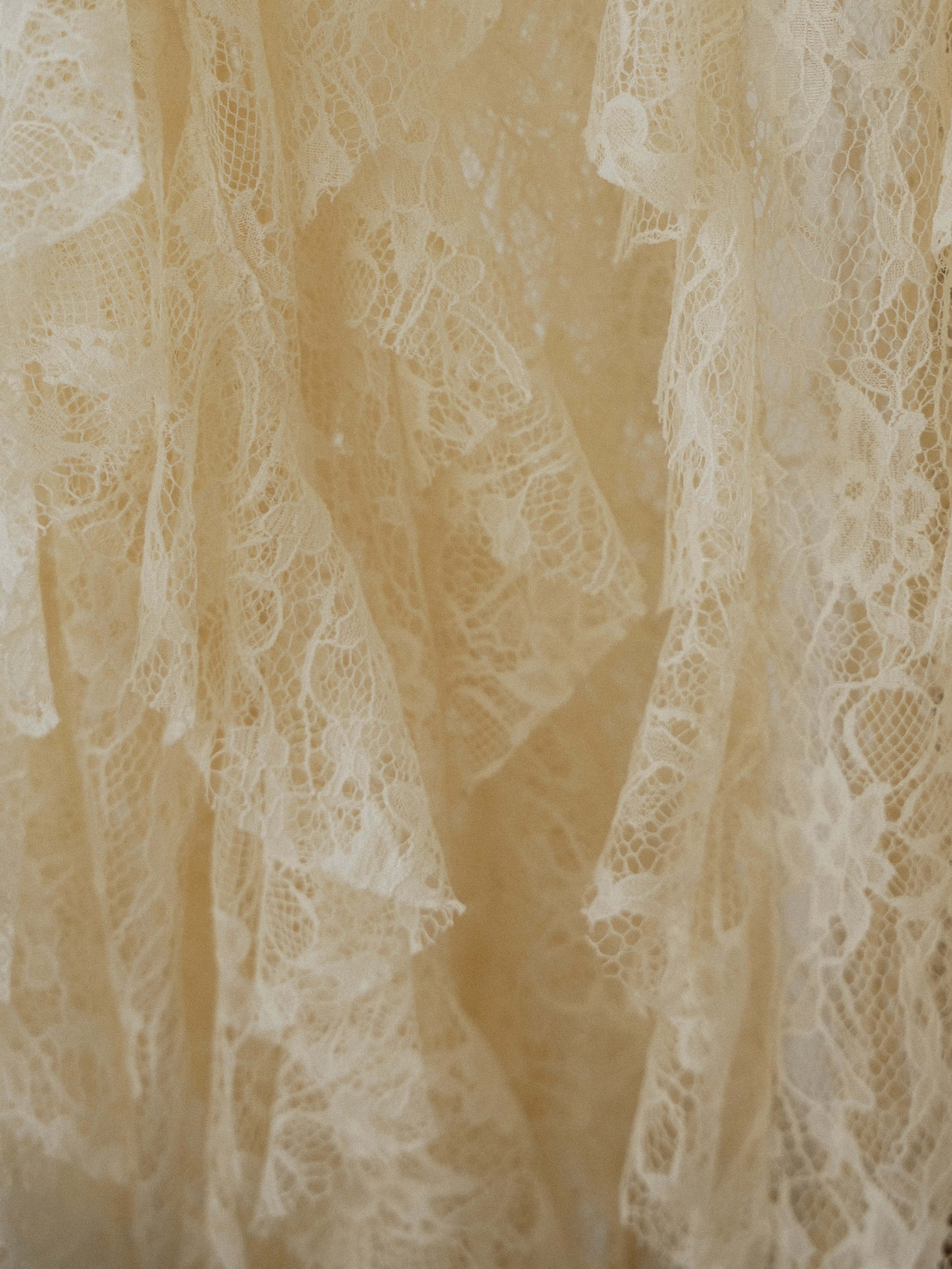 sheer lace ruffle blouse | Katrin TOKYO