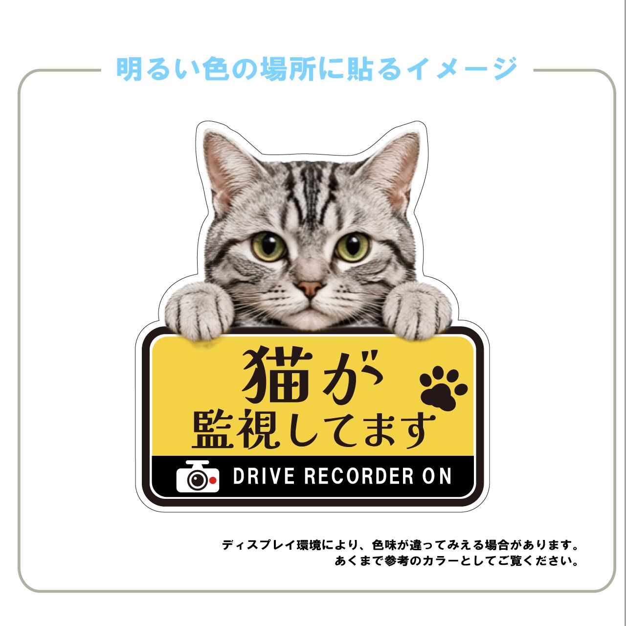アメリカンショートへアー・アメショー・猫・ドライブレコーダー・ドラレコステッカー・撮影中・車・ステッカー・インクジェット印刷・屋外用・猫好き・ドライブグッズ・監視しています・おもしろい・かわいい・肉球