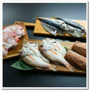 【送料無料】贈り物に最適・魚健干物セット